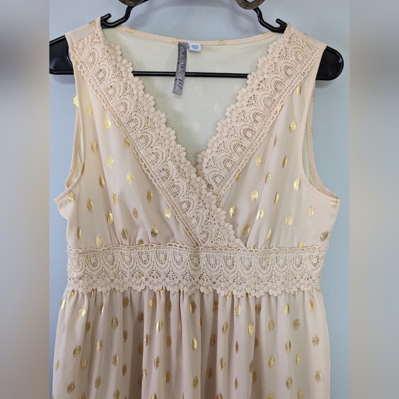 Charlie Charlie Charlotte Apricot Lace Sleeveless Empire Waist Maxi Dress - Picture 11 of 13